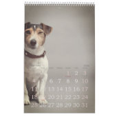 Einfach spielbar Niedlich und schwindlig Hundejahr Kalender (Jan 2026)