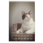Einfach spielbar Niedlich und virtuell CAT-Liebe J Kalender (Jan 2027)