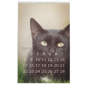 Einfach spielbar Niedlich und virtuell CAT-Liebe J Kalender (Feb 2026)
