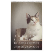 Einfach spielbar Niedlich und virtuell CAT-Liebe J Kalender (Jan 2026)