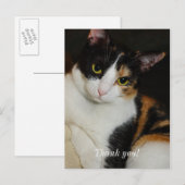 Einfach umherschweifen Vielen Dank Postcard Postkarte (Vorne/Hinten)