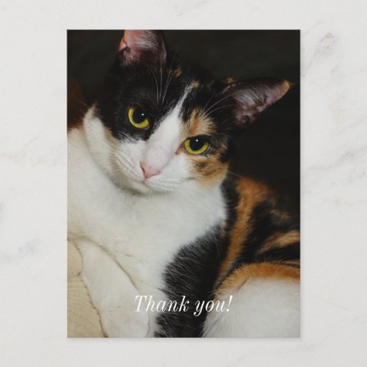 Einfach umherschweifen Vielen Dank Postcard Postkarte (Vorderseite)