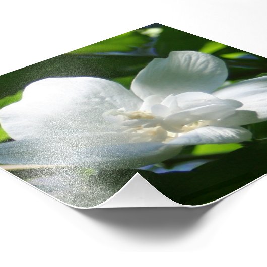 Einfach weiß fotodruck (Ecke)