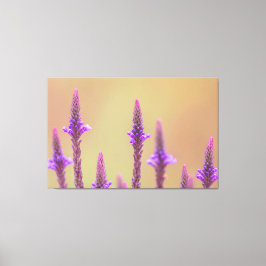 Einfach zum Träumen... Leinwanddruck