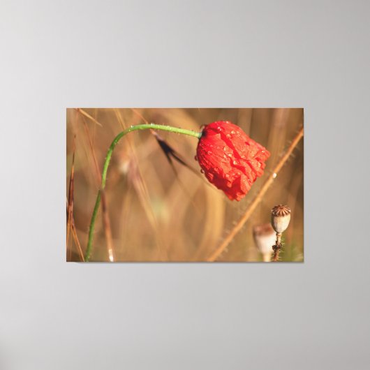 Einfach zum Träumen und EntŌ. Leinwanddruck (Vorderseite)