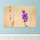 Einfach zum Träumen und Wohlfühlen. Leinwanddruck (Insitu (Holzboden))