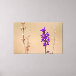 Einfach zum Träumen und Wohlfühlen. Leinwanddruck