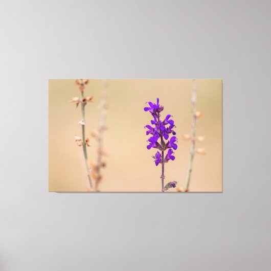 Einfach zum Träumen und Wohlfühlen. Leinwanddruck (Vorderseite)