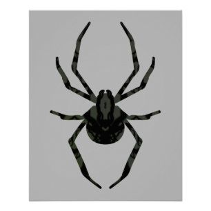 Einfache alte Spinne Poster