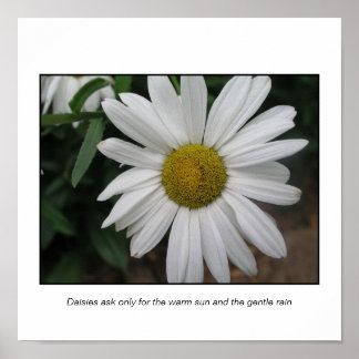 Einfache Anfragen Poster