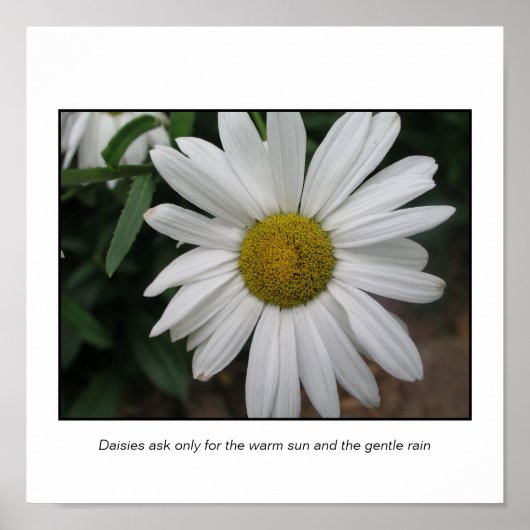 Einfache Anfragen Poster (Vorne)