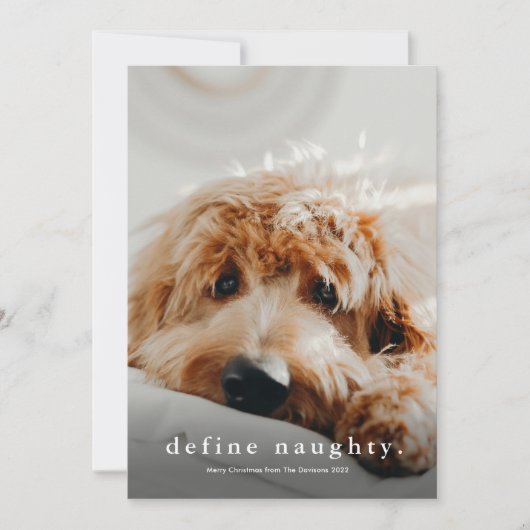 Einfache Art Funny Pet Weihnachten (Vorderseite)