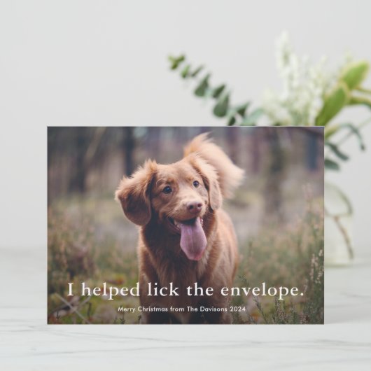 Einfache Art Funny Pet Weihnachten (Stehend Vorderseite)