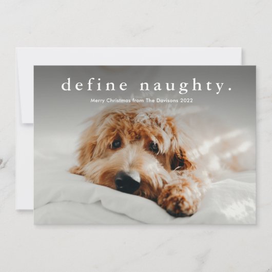 Einfache Art Funny Pet Weihnachten (Vorderseite)