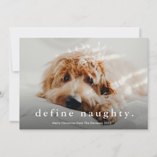 Einfache Art Funny Pet Weihnachten (Vorderseite)