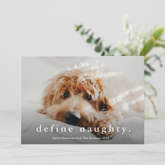 Einfache Art Funny Pet Weihnachten (Stehend Vorderseite)