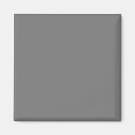 Einfache Authority®-Magnete Magnet