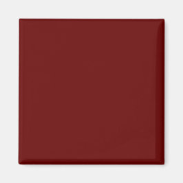 Einfache Authority®-Magnete Magnet