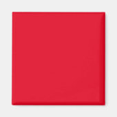 Einfache Authority®-Magnete Magnet (Vorne)