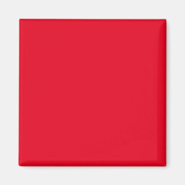 Einfache Authority®-Magnete Magnet