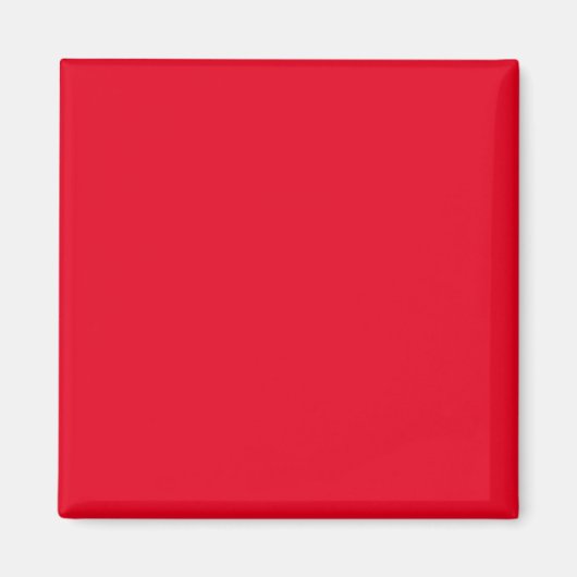 Einfache Authority®-Magnete Magnet (Vorne)