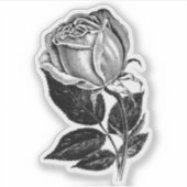 Einfache B&W Rose Sketch Vinyl Cut-Out Sticker Dec (Vorderseite)