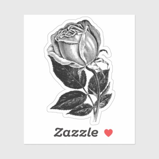 Einfache B&W Rose Sketch Vinyl Cut-Out Sticker Dec (Blatt)