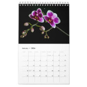 Einfache Blooms Blumenfotografie-Sammlung Kalender (Jan 2026)