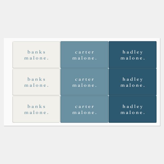 Einfache Blue Waterproof Name Etiketten (Blatt)