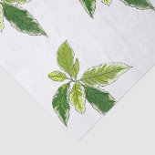 Einfache Botanik Seidenpapier (Detail)
