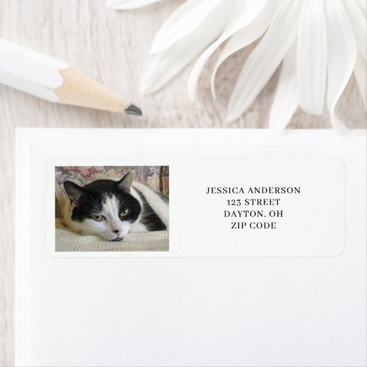 Einfache Cat Foto Rücksendeadresse (Insitu)