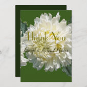 Einfache Elegance White Bloom Chrysanthemum Hochze Dankeskarte (Vorne/Hinten)