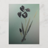 Einfache Elegant Moderne Ukiyo-e japanische Iris Postkarte (Vorderseite)