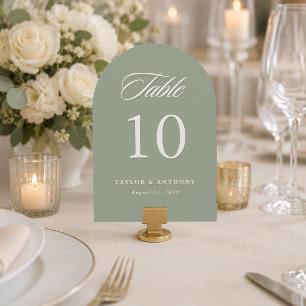 Einfache elegante Hochzeitstisch-Nummernkarte in S Einladung
