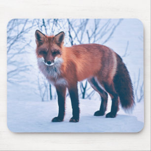 Einfache elegante Mausunterlage roter Fox-Grafik-  Mousepad