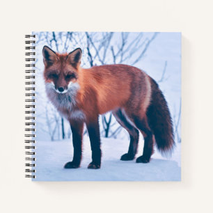 Einfache Elegante Red Fox Artwork   Notebook Notizblock