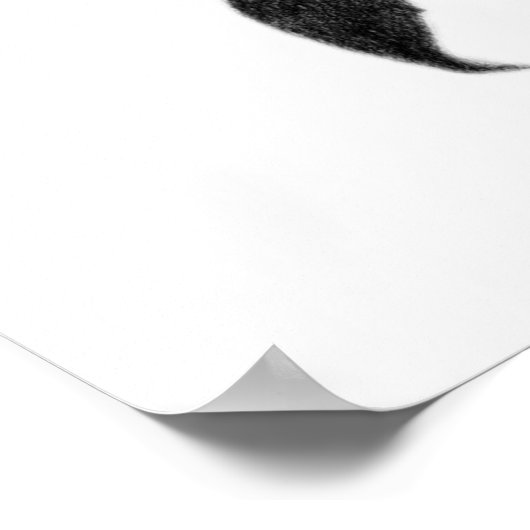 Einfache elegante Rose in Schwarz-Graphit-Stift Poster (Ecke)