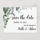 Einfache Eukalyptus-Blütezeit Sichern Sie das Datu Postkarte (Vorderseite)