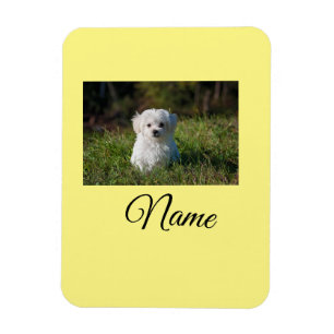 Einfache farbenfrohe Tier-Add-Name-Foto-individuel Magnet