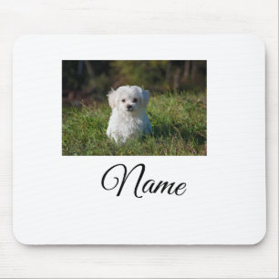 Einfache farbenfrohe Tier-Add-Name-Foto-individuel Mousepad