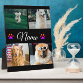 Einfache farbige Foto-Namenssammlung Fotoplatte (Seite)