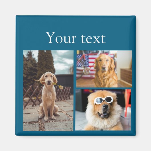 Einfache farbige Foto-Namenssammlung Magnet (Vorne)