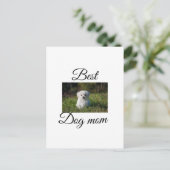 Einfache farbige Tiere geben Foto Hund Mama-Gesche Postkarte (Stehend Vorderseite)