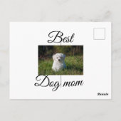 Einfache farbige Tiere geben Foto Hund Mama-Gesche Postkarte (Rückseite)