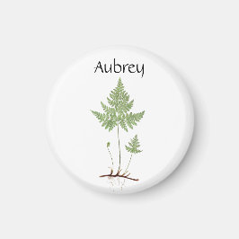 Einfache Fern, Magnet