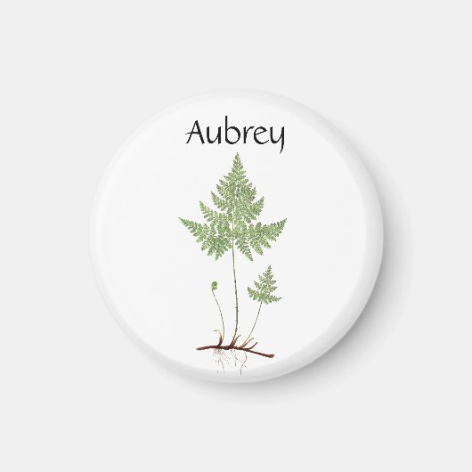 Einfache Fern, Magnet (Vorne)