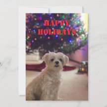 Einfache fette Happy Holidays Card
