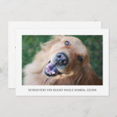 Einfache Foto Ankündigung von Adoptionen für Hunde (Vorne/Hinten)