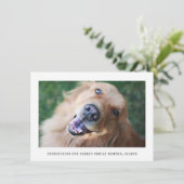 Einfache Foto Ankündigung von Adoptionen für Hunde (Stehend Vorderseite)