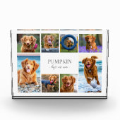 Einfache Fotocollage mit Hund Fotoblock (Vorderseite)